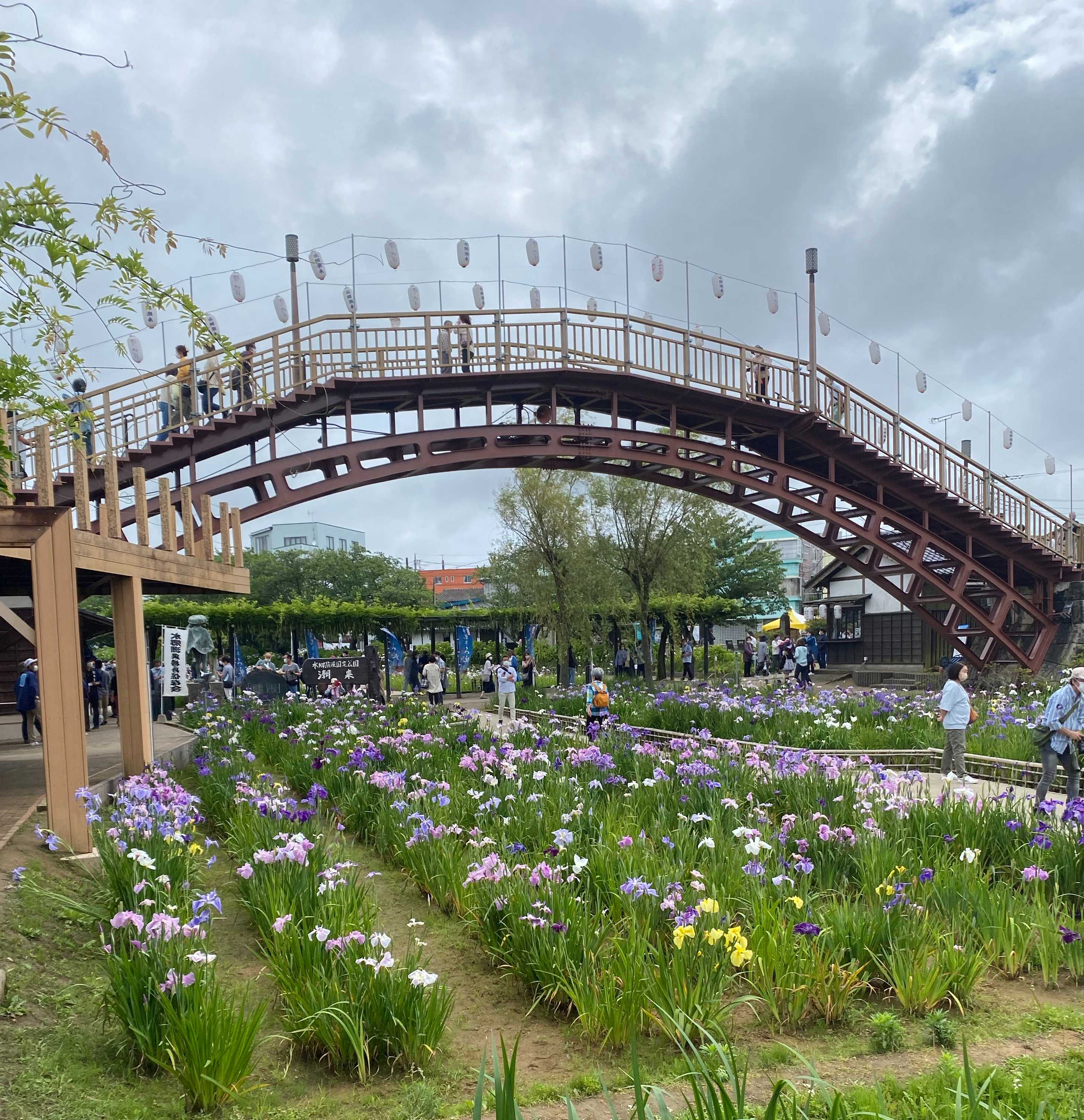 🌸 스이고 이타코 창포원(스이고 이타코 아야메엔) 이미지 7